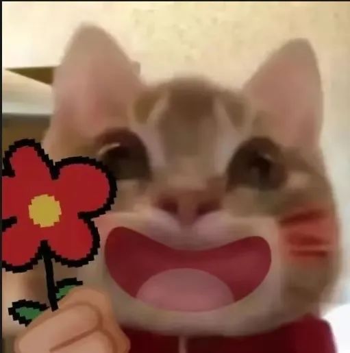 DƬ